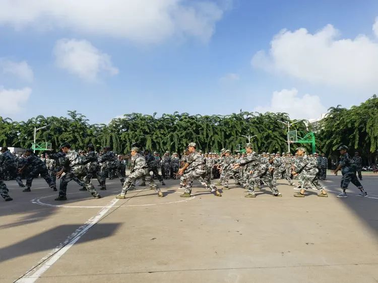 迷彩軍訓(xùn) 青春無悔