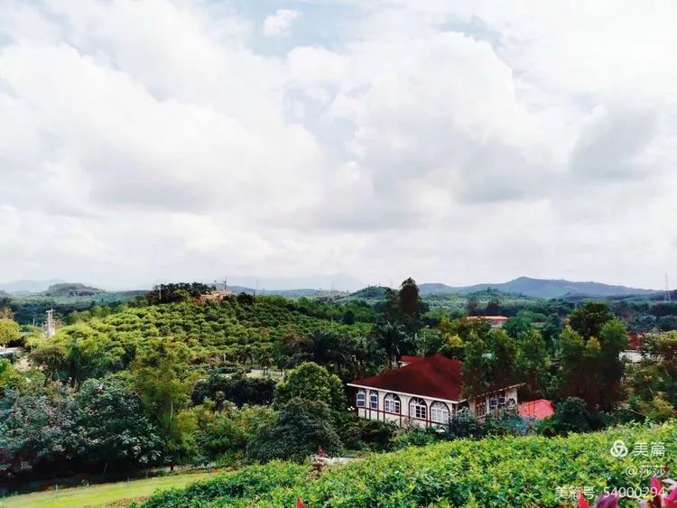 【校園動態(tài)】賞花憶往昔——海口黃岡金盤高級中學高中部研學之旅
