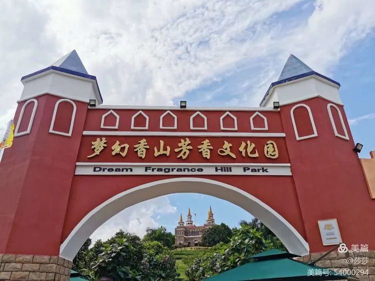 【校園動態(tài)】賞花憶往昔——?？邳S岡金盤高級中學高中部研學之旅