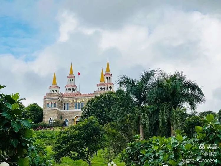 【校園動態(tài)】賞花憶往昔——?？邳S岡金盤高級中學高中部研學之旅